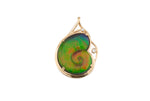 14K AMMOLITE FANCY SHELL