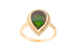 14K AMMOLITE HALO RING