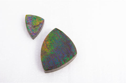 Ammolite Dragon Skin 3 Color Freeform Gemstone