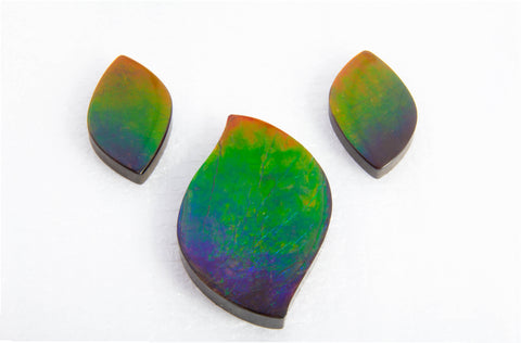 Rare 3 color Ammolite Natural Freeform Gemstone